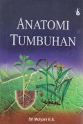 Anatomi Tumbuhan