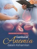 Gambaran Anemia dalam Kehamilan