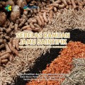 Sebelas Ramuan Jamu Saintifik Pemanfaatan Mandiri oleh Masayarakat