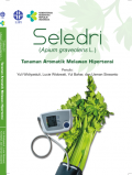 Seledri (Apium graveolens L.) : Tanaman Aromatik Melawan Hipertensi